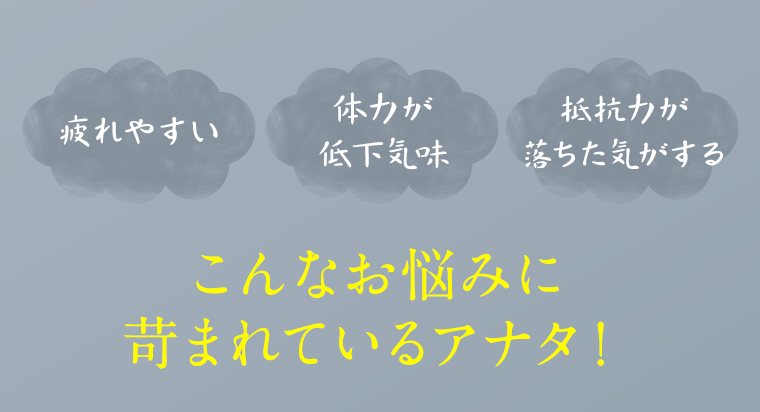 疲れやすい・体力が低下気味・抵抗力が落ちた気がする。こんなお悩みに苛まれているアナタ！
