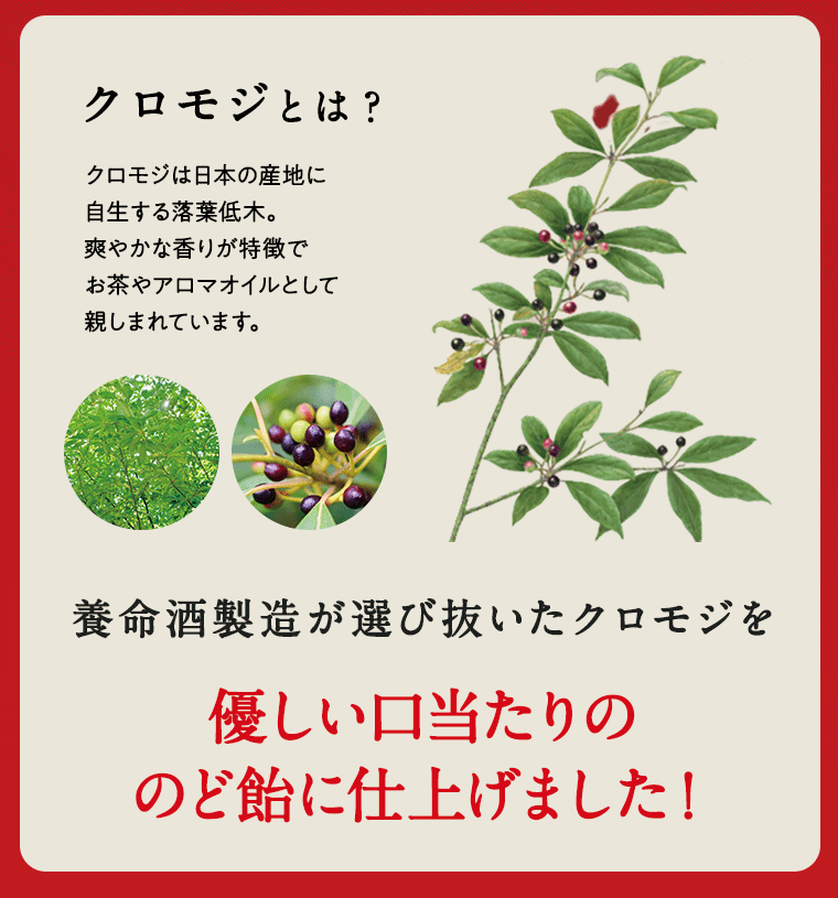 養命酒製造が選び抜いたクロモジを優しい口当たりののど飴に仕上げました！