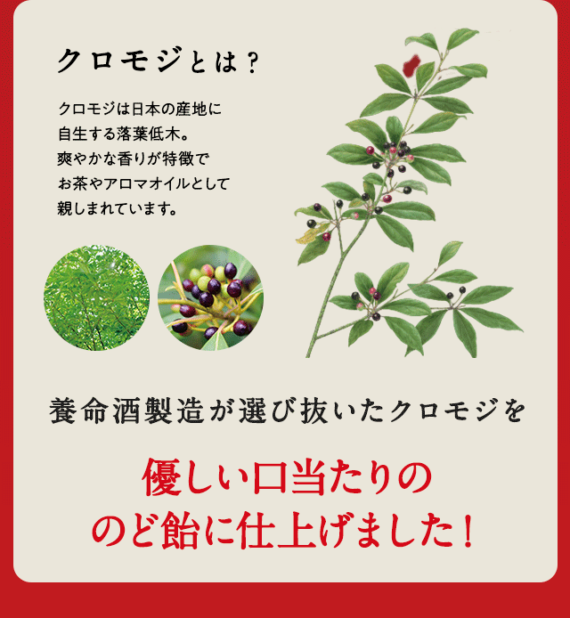 養命酒製造が選び抜いたクロモジを優しい口当たりののど飴に仕上げました！