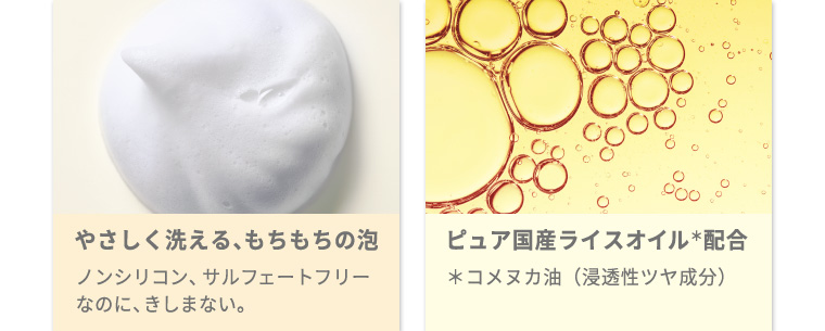 やさしく洗える、もちもちの泡 ピュア国産ライスオイル＊配合