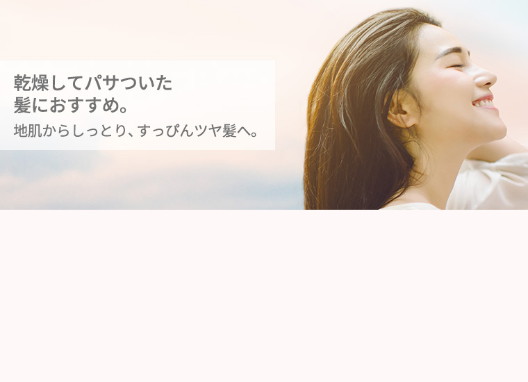 乾燥してパサついた髪におすすめ。