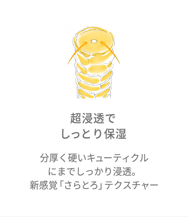 超浸透でしっとり保湿