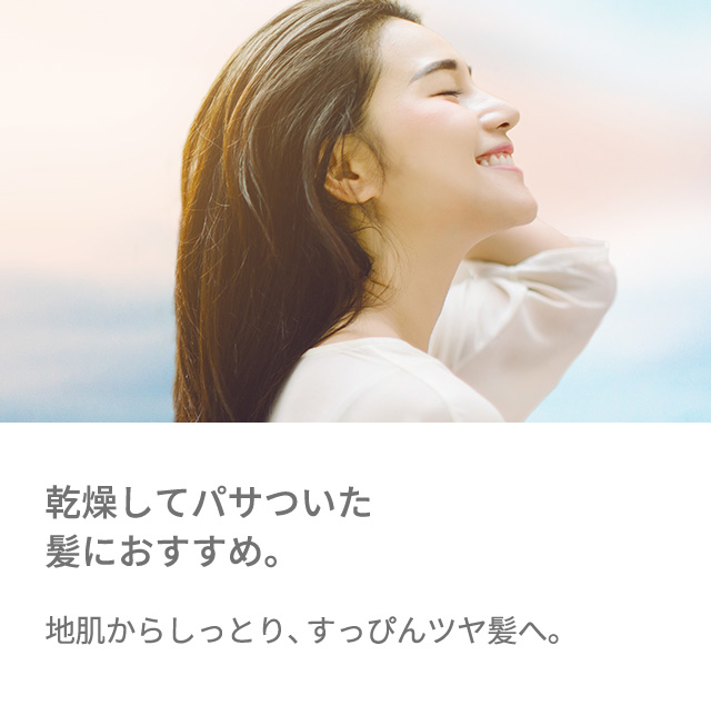 乾燥してパサついた髪におすすめ。
