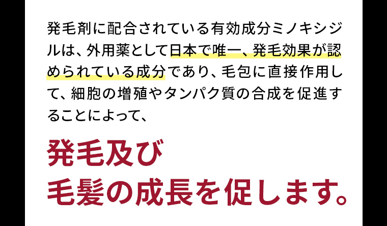 発毛及び毛髪の成長を促します。