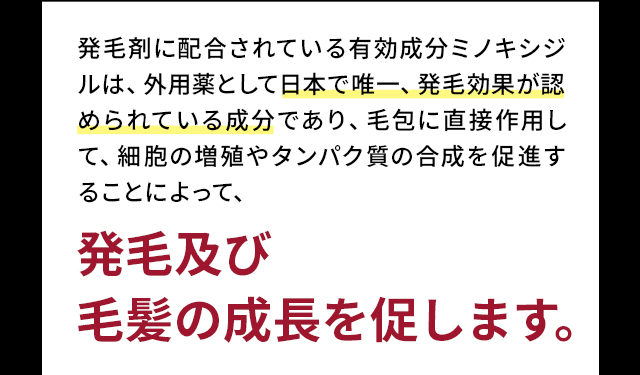 発毛及び毛髪の成長を促します。