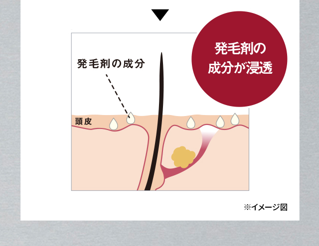 発毛剤の成分が浸透