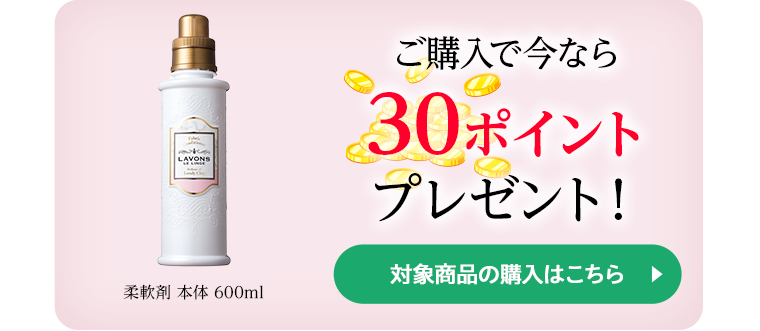 ご購入で今なら30ポイントプレゼント！