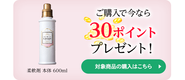 ご購入で今なら30ポイントプレゼント！