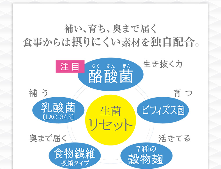 補い、育ち、奥まで届く 食事からは摂りにくい素材を独自配合