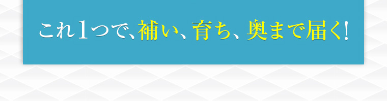 これ１つで、補い、育ち、奥まで届く！