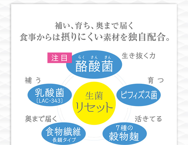 補い、育ち、奥まで届く 食事からは摂りにくい素材を独自配合