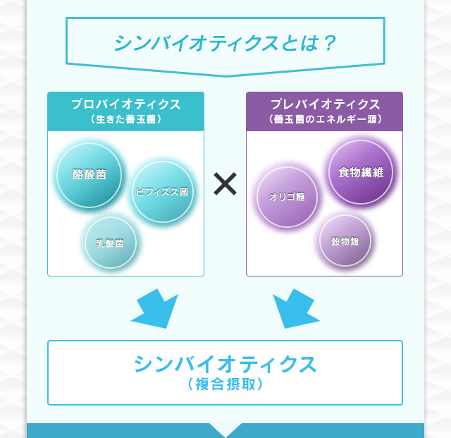 シンバイオティクスとは？
