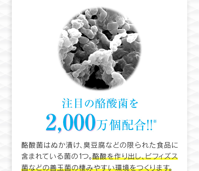 注目の酪酸菌を2,000万個配合！！