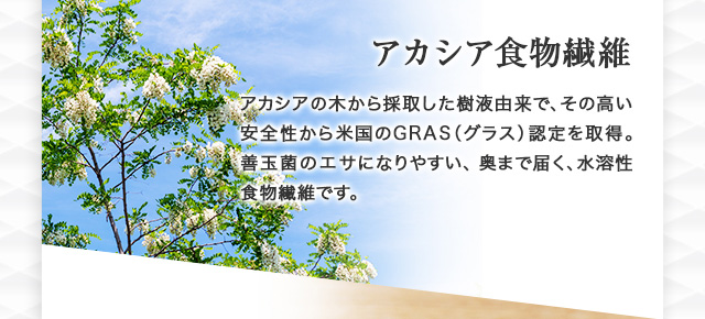 アカシア食物繊維