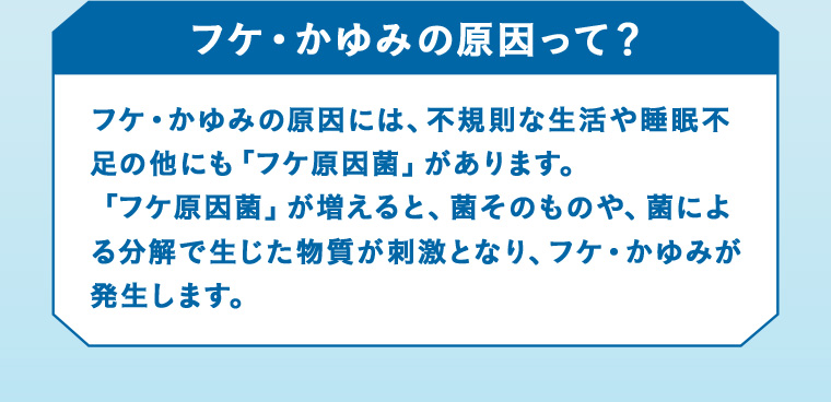 フケ・かゆみの原因って？