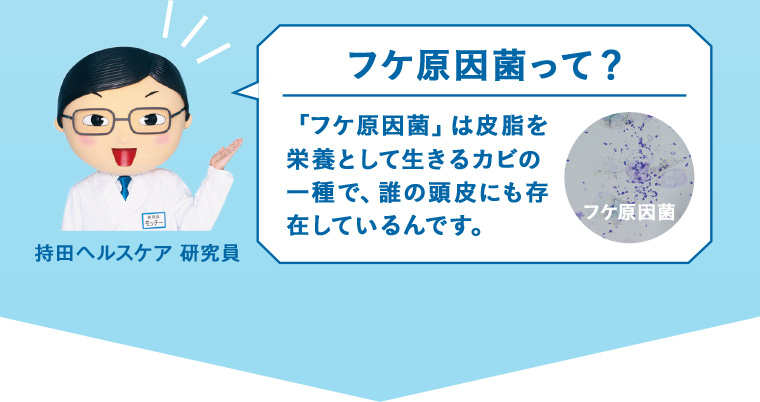 フケ原因菌って？