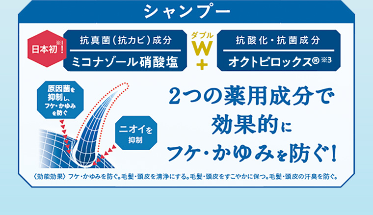 シャンプー