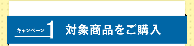 キャンペーン１ 対象商品をご購入