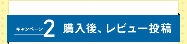 キャンペーン2 購入後、レビュー投稿