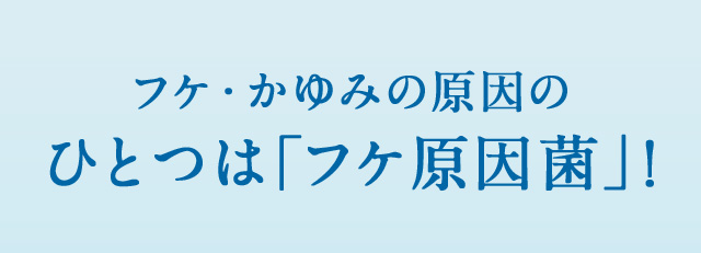 フケ・かゆみの原因のひとつは「フケ原因菌」！