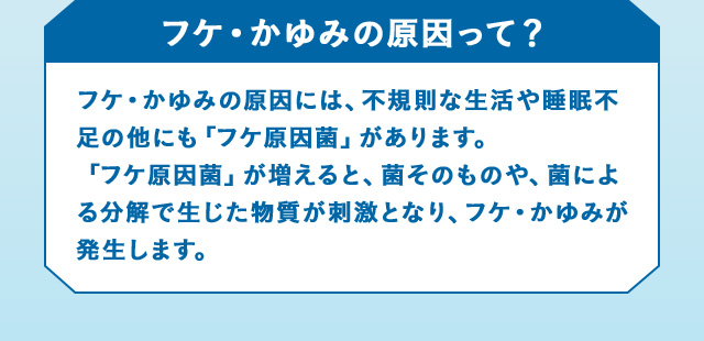 フケ・かゆみの原因って？