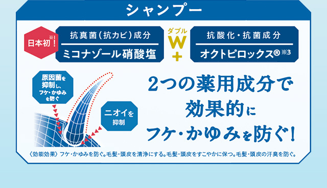 シャンプー