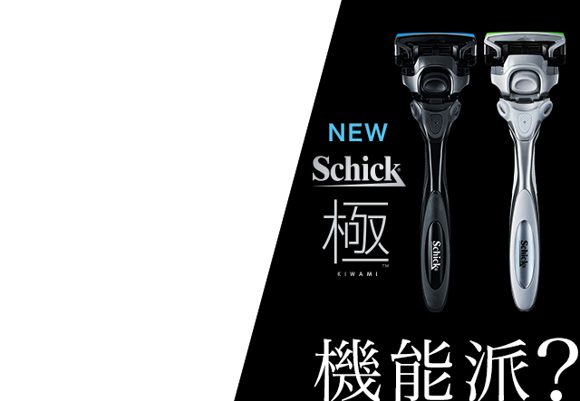 Schick極