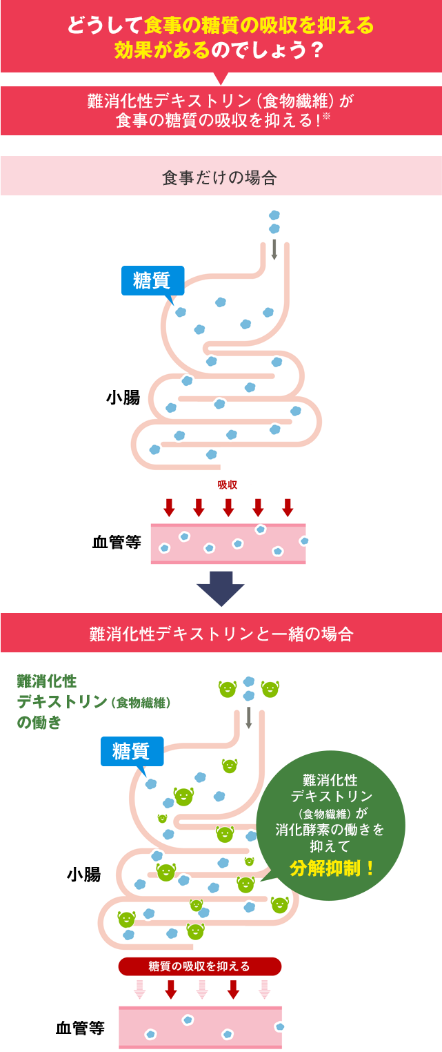 どうして食事の糖質の吸収を抑える効果があるのでしょう？