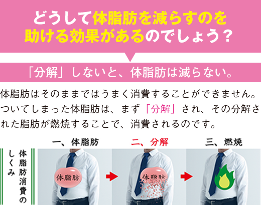 どうして体脂肪を減らすのを助ける効果があるのでしょう？