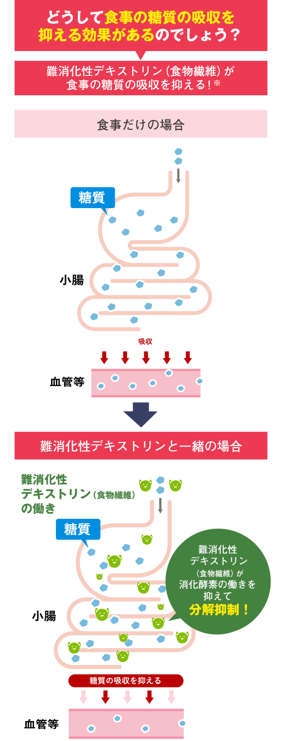 どうして食事の糖質の吸収を抑える効果があるのでしょう？
