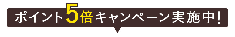 ポイント5倍キャンペーン実施中！