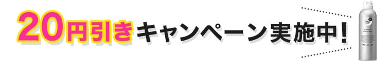 20円引きキャンペーン実施中！