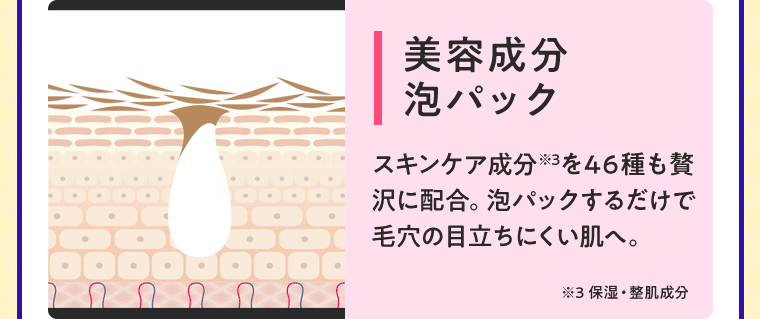 美容成分泡パック スキンケア成分※3を46種も贅沢に配合。泡パックするだけで毛穴の目立ちにくい肌へ。 ※3 保湿・整肌成分