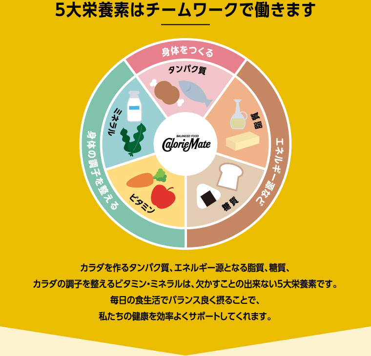 5大栄養素はチームワークで働きます