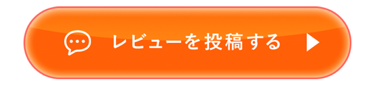 レビューを投稿する