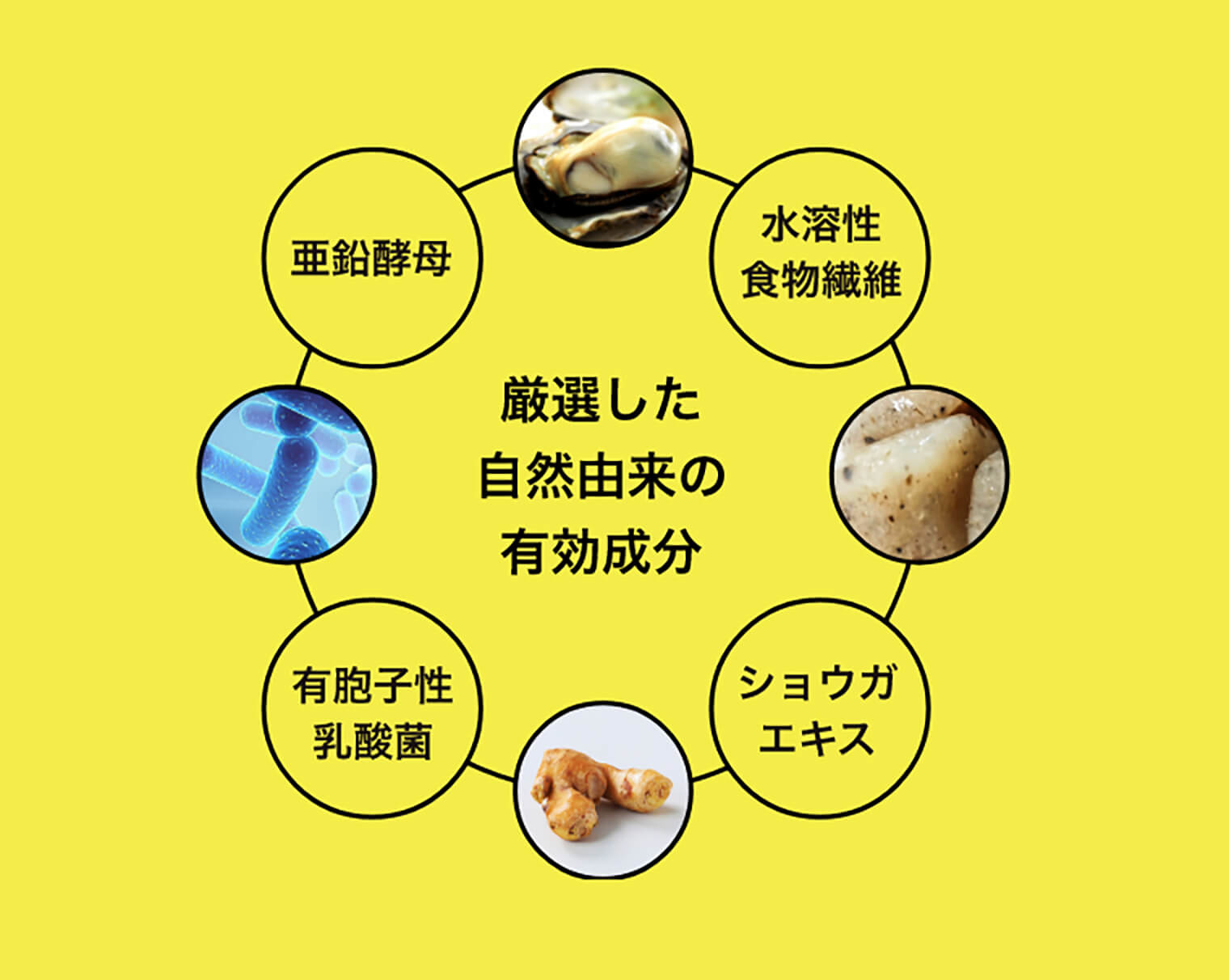 厳選した自然由来の有効成分