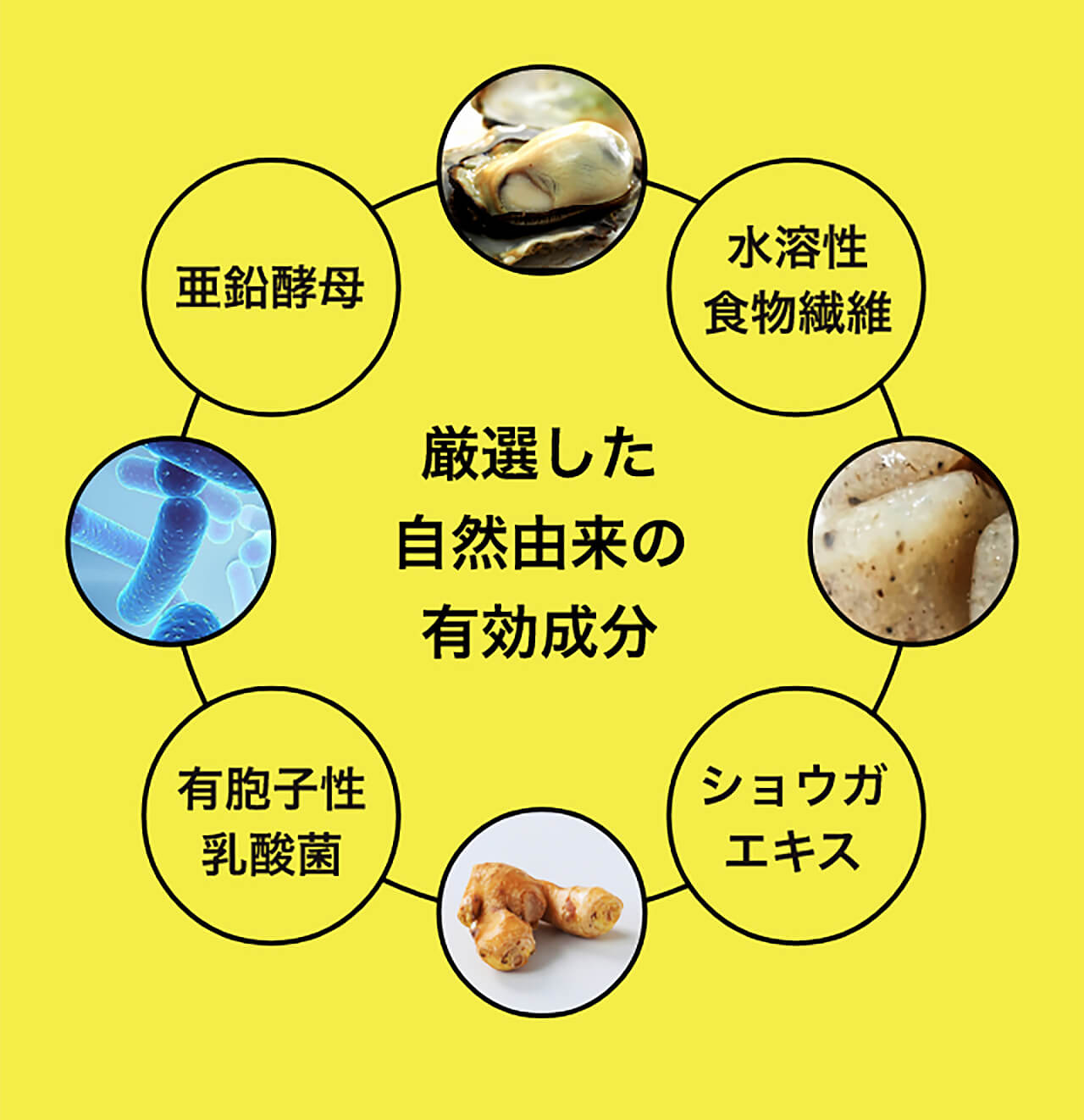 厳選した自然由来の有効成分