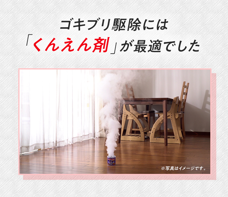 ゴキブリ駆除には「くんえん剤」が最適でした