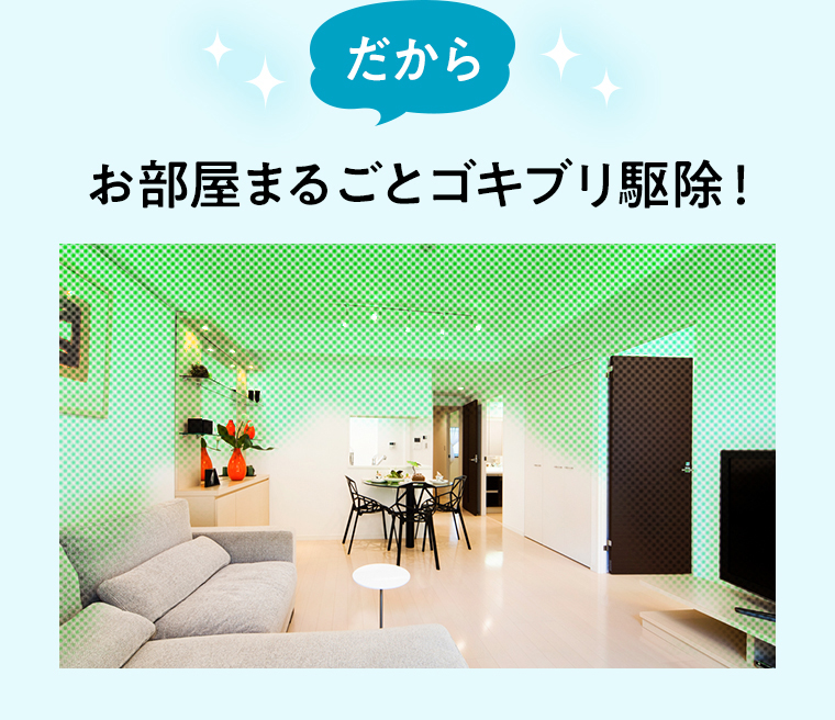 だから お部屋まるごとゴキブリ駆除！