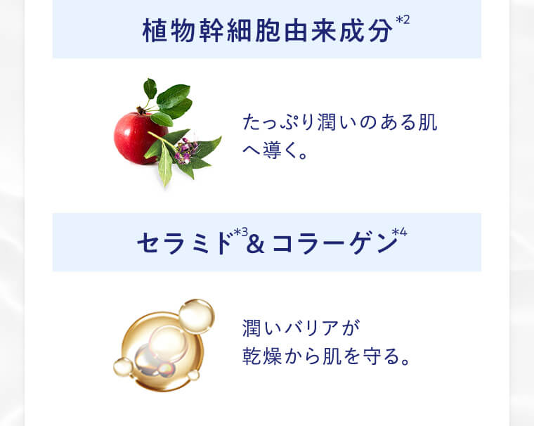 植物幹細胞由来成分、セラミド＆コラーゲン