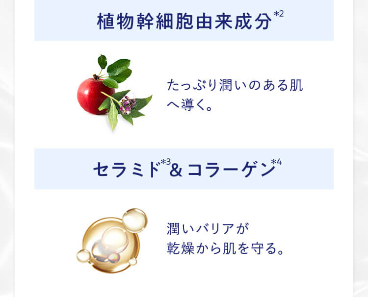 植物幹細胞由来成分、セラミド＆コラーゲン