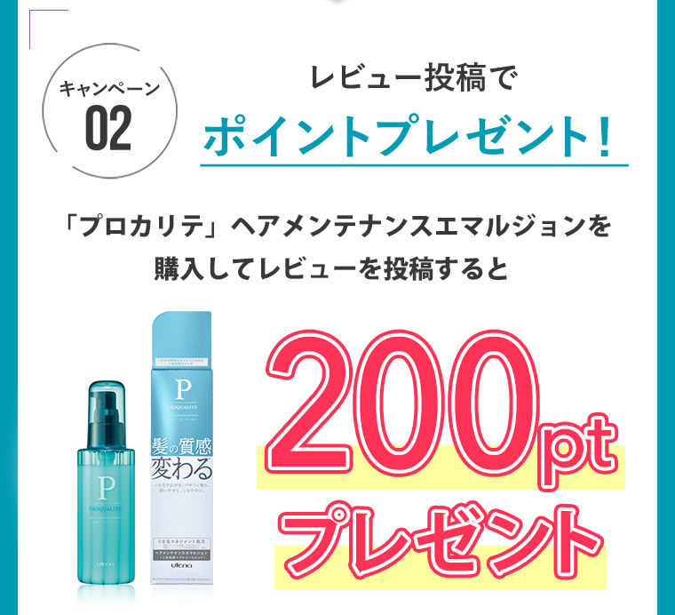 キャンペーン02　レビュー投稿でポイントプレゼント