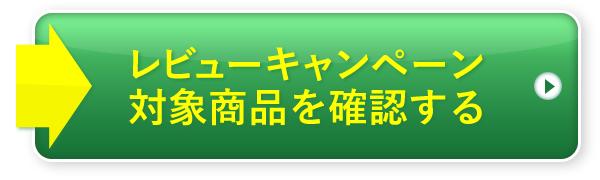 レビューを投稿する