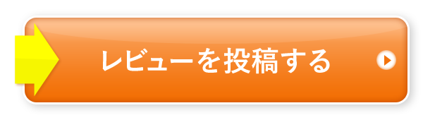 レビューを投稿する