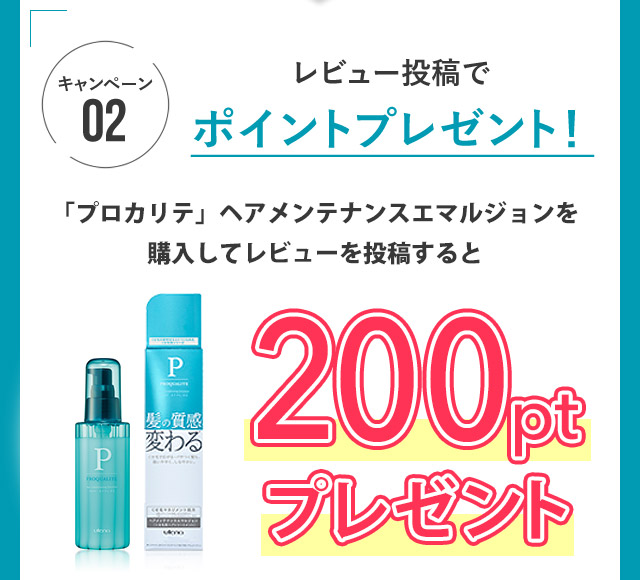 キャンペーン02　レビュー投稿でポイントプレゼント
