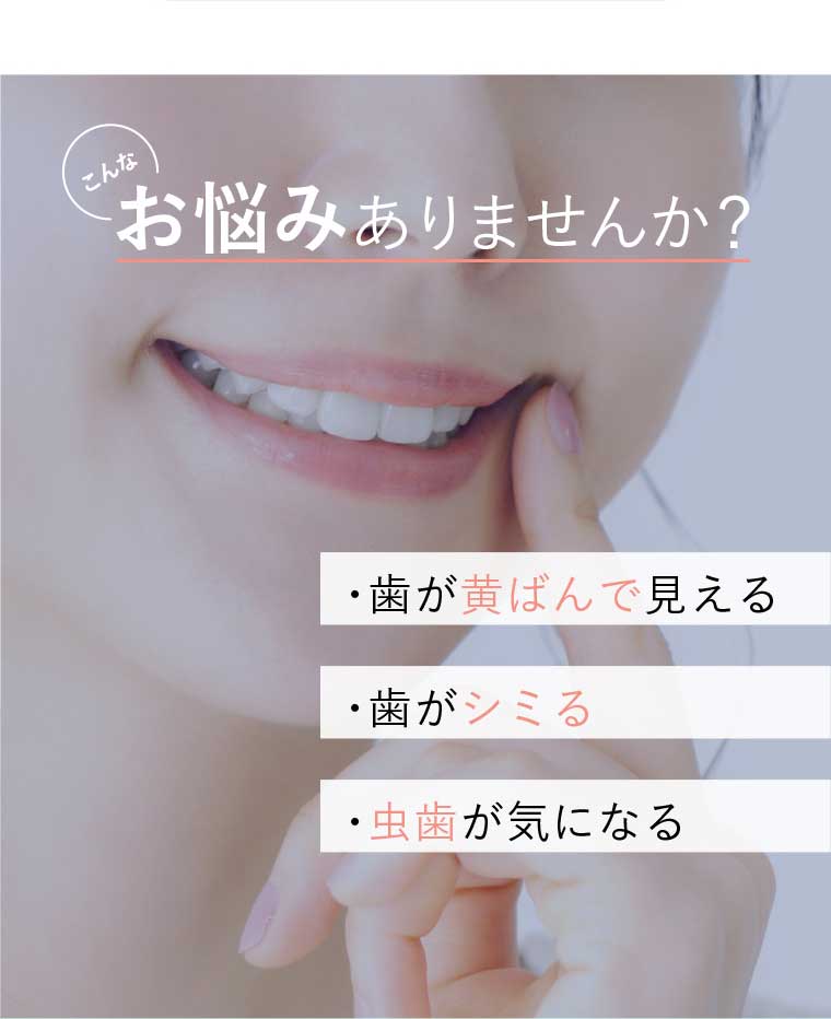 イメージ：b_1