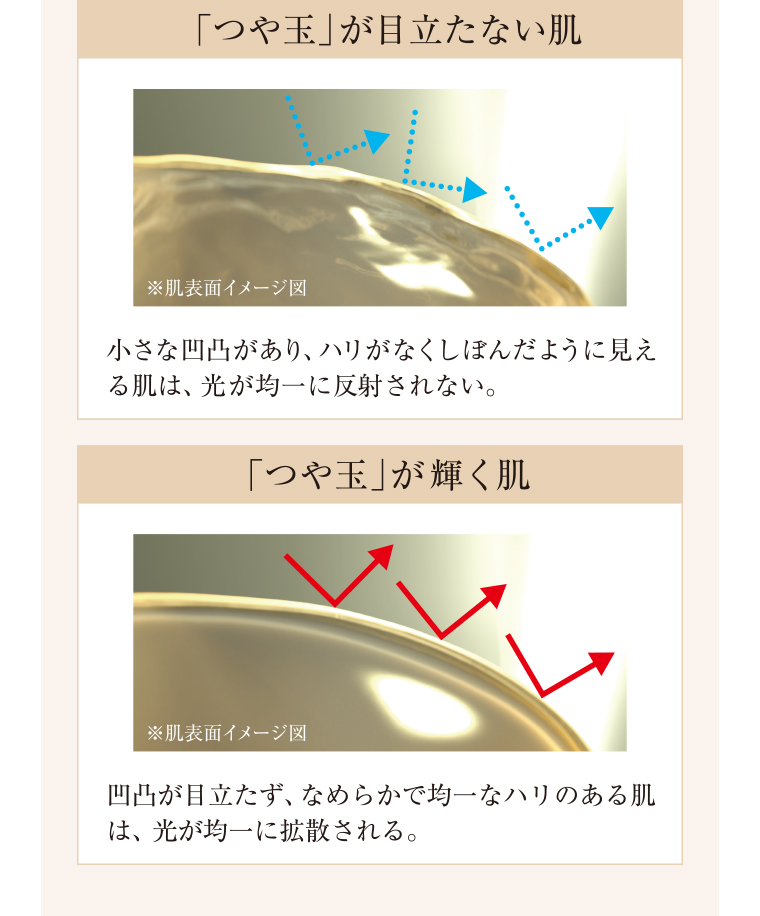 「つや玉」が目立たない肌 小さな凹凸があり、ハリがなくしぼんだように見える肌は、光が均一に反射されない。「つや玉」が輝く肌 凹凸が目立たず、なめらかで均一なハリのある肌は、光が均一に拡散される。