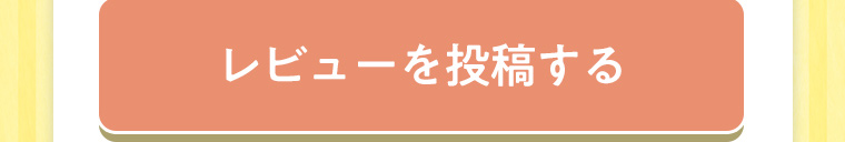 レビューを投稿する