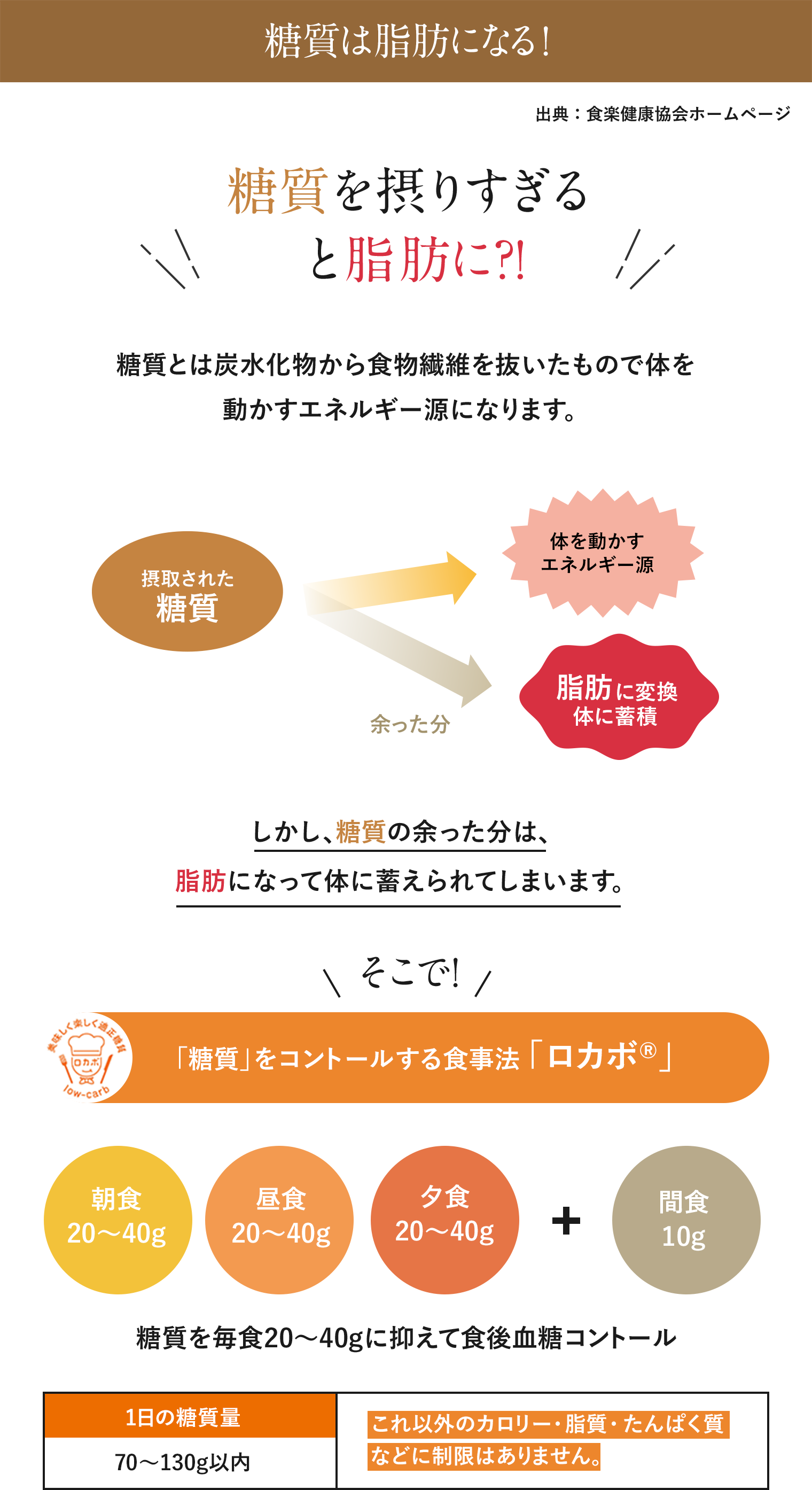 糖質は脂肪になる!