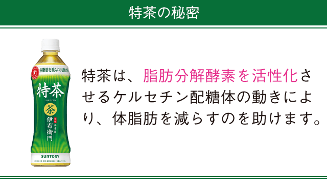 特茶の秘密 特茶は、脂肪分解酵素を活性化させるケルセチン配糖体の動きにより、体脂肪を減らすのを助けます。